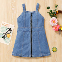 Denim Overall Dress