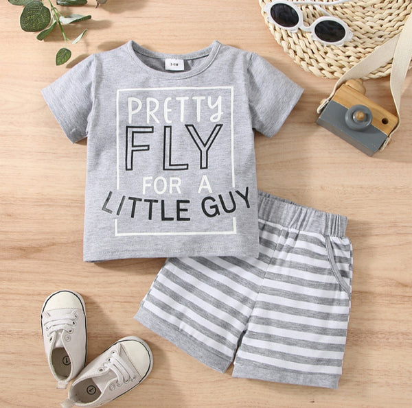 Fly Guy Set